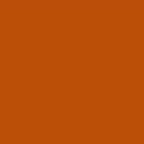 PMS167 Pantone® Orange Gloss Enamel Custom Spray Paint 300 Grams