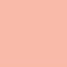 PMS169 Pantone® Orange Gloss Enamel Custom Spray Paint 300 Grams