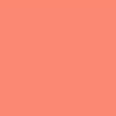 PMS170 Pantone® Orange Gloss Enamel Custom Spray Paint 300 Grams