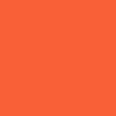 PMS171 Pantone® Orange Custom Spray Paint Gloss Enamel 300g