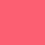 PMS184 Pink Pantone Custom Gloss Enamel Spray Paint 300 Grams