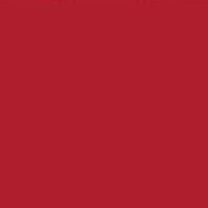 PMS187 Pantone Gloss Red Custom Spray Paint 300 Grams