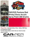 PMS1925 Pantone Red (Pinky) Gloss Acrylic Spray Paint 300 Grams ** SEE NOTES