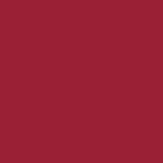 PMS194 Pantone® Red Gloss Enamel Custom Spray Paint 300 Grams