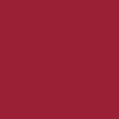 PMS195 Pantone® Red Gloss Enamel Custom Spray Paint 300 Grams