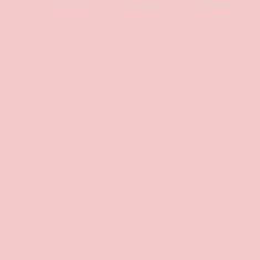 PMS196 Pantone® Pink Gloss Enamel Custom Spray Paint 300 Grams