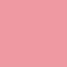 PMS197 Pantone® Pink Gloss Enamel Custom Spray Paint 300 Grams