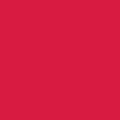 PMS199c Pantone® Pink 2K Direct Gloss 50ml