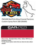 PMS200 Red Pink Gloss Enamel Pantone Custom Spray Paint 300 GRAMS