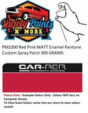 PMS200 Red Pink MATT Enamel Pantone Custom Spray Paint 300 GRAMS 