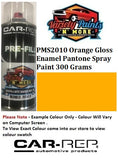 PMS2010 Orange Gloss Enamel Pantone Spray Paint 300 Grams