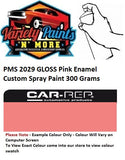 PMS2029 PANTONE® GLOSS Pink Enamel Custom Spray Paint 300 Grams