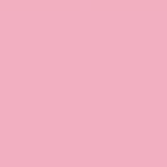 PMS203 Pantone Custom Gloss Enamel Spray Paint 300 Grams
