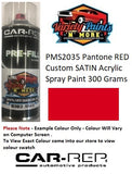 PMS2035 Pantone RED Custom MATT Acrylic Spray Paint 300 Grams