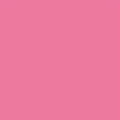 PMS204c Pink Gloss Enamel Pantone Custom Spray Paint 4 Litre