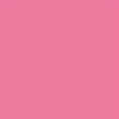 PMS204c Pink Gloss Acrylic Pantone Custom Spray Paint 500ml S0206