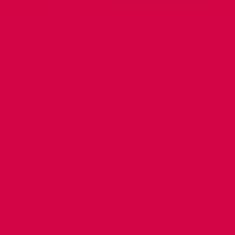 PMS206 Pantone Custom Spray Paint