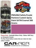 PMS2062 Safety Purple Pantone Custom Spray Paint SATIN Enamel 300 Grams