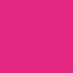 PMS219 Pantone Custom Pink Red Gloss Enamel Spray Paint 300 Grams