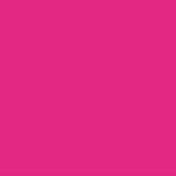 PMS219 Pantone Custom Pink Red Gloss Enamel Spray Paint 300 Grams