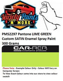 PMS2297 Pantone Lime Green Custom MATT Enamel Spray Paint 300 Grams 