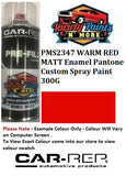 PMS2347 WARM RED MATT Enamel Pantone Custom Spray Paint 300G
