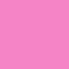 PMS237 Pantone® Pink Custom Gloss Enamel Spray Paint 300 Grams