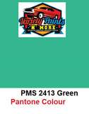 PMS2413 Pantone Green 2 Pack (2K) Custom Spray Paint 300 Gram 