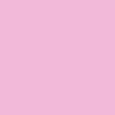 PMS243 Pantone® Pink Custom Gloss Enamel Spray Paint 300 Grams