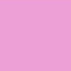 PMS244 Pantone® Pink Custom Gloss Enamel Spray Paint 300 Grams