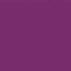PMS255 Pantone® Purple Custom Gloss Enamel Spray Paint 300 Grams