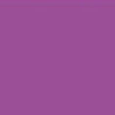 PMS258 Pantone® Purple  Gloss Enamel Custom Spray Paint 300 Grams