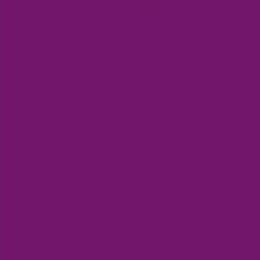 PMS259 Pantone® Purple  Gloss Enamel Custom Spray Paint 300 Grams