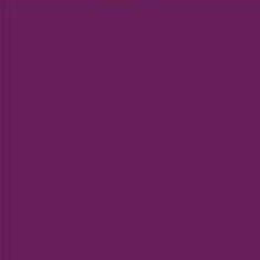 PMS260 Pantone® Purple  Gloss Enamel Custom Spray Paint 300 Grams