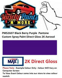PMS2607 Black Berry Purple  Pantone Custom Spray Paint Direct Gloss 2K Aerosol