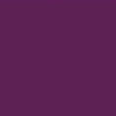 PMS261 Pantone® Purple Gloss Enamel Custom Spray Paint 300 Grams