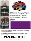 PMS2613 Pantone Violet Custom Gloss Enamel Spray Paint 300 Grams S4130 