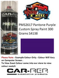 PMS2617 Pantone Purple Gloss Enamel Spray Paint 300 Grams S4138