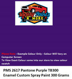 PMS2617 Pantone Purple Custom Spray Paint 300 Grams 