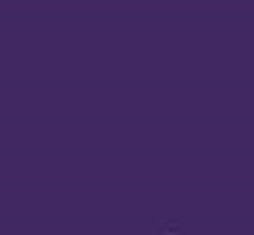 PMS269 Pantone® Violet Gloss Enamel Custom Spray Paint 300 grams