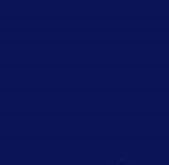 PMS2756 Pantone® Blue Gloss Enamel Custom Spray Paint 18S4148 300 Grams