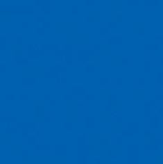 PMS286 Pantone® Blue Enamel MATT Custom Spray Paint 300 Grams