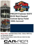 PMS289 Pantone NAVY BLUE MATT Enamel Custom Spray Paint 300G Aerosol
