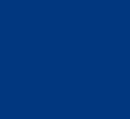 PMS294 Pantone Custom Spray Paint Gloss Blue 300 Grams