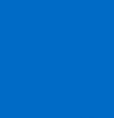 PMS300C Pantone® Blue   Gloss Enamel Custom Spray Paint 300 Grams