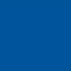 PMS301 Pantone® Blue Custom Paint ENAMEL Gloss 300 Grams