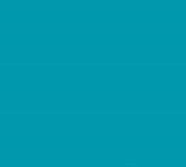 PMS320 Pantone Custom Spray Paint