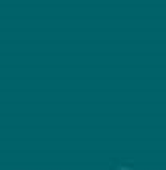 PMS323 Pantone Custom Spray Paint