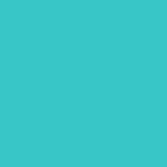 PMS325 Pantone Custom Spray Paint