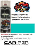 PMS3265 AQUA Gloss Enamel Pantone Custom Spray Paint 300 Grams